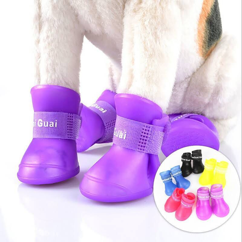 Zapatos impermeables para mascotas